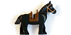 a Horse